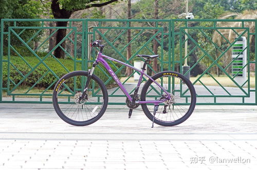 隨光而變，科技出彩——鳳凰KX950山地自行車深度體驗